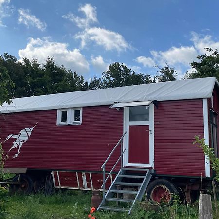 Wagersrott Zirkuswagen Nahe Ostsee Und Schlei מראה חיצוני תמונה